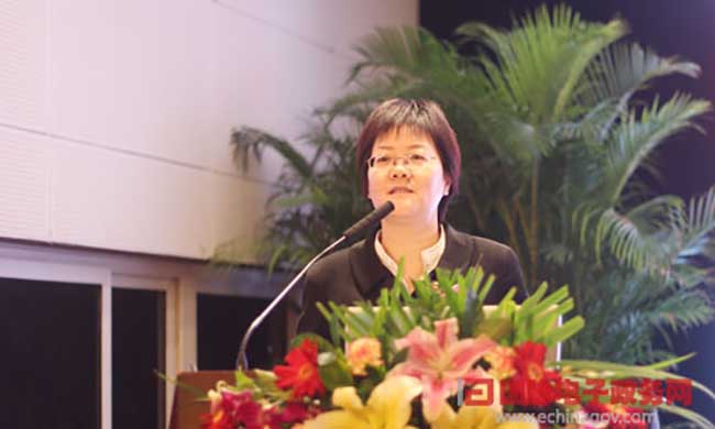 球王会体育官方网站互联总经理、首席规划师郑爱军进行《基于大数据的政府网站平台规划评测新思路》为题的演讲