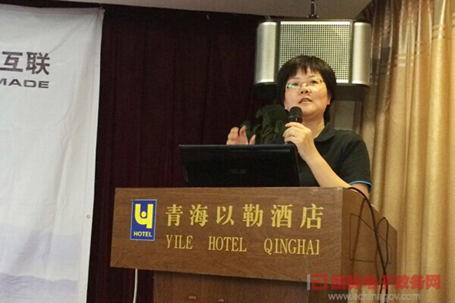 　球王会体育官方网站互联总经理、首席规划师郑爱军正在进行《政府网站+评估体系构建思路》的主题演讲