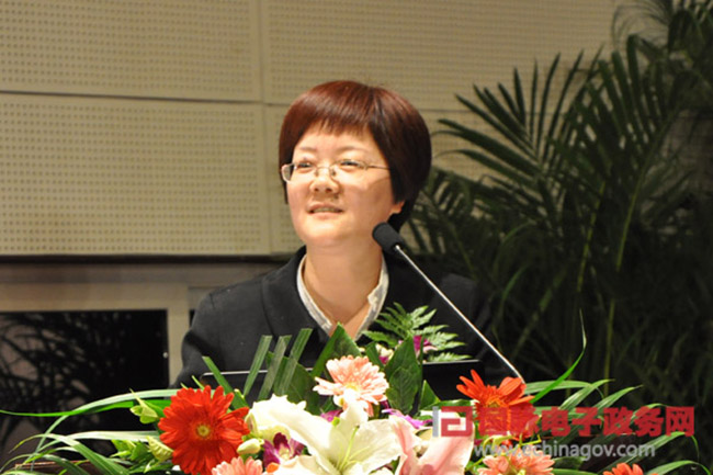 郑爱军：“政府网站+”时代 ，政府网站如何定位？