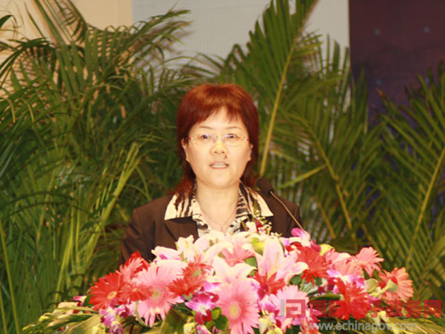 北京球王会体育官方网站互联信息顾问有限公司总经理、首席规划师郑爱军女士正在做《从电子政务到智慧政府：球王会体育官方网站的思考与实践》为题的主题发言
