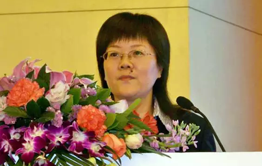 在2015中国智慧政府发展年会上，球王会体育官方网站互联总经理、首席规划师郑爱军发布《2015中国"互联网+政务"优秀实践案例50强评选结果》
